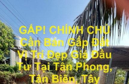 GẤP! CHÍNH CHỦ Cần Bán Gấp Đất Vị Trí Đẹp Giá Đầu Tư Tại Tân Phong, Tân Biên, Tây Ninh